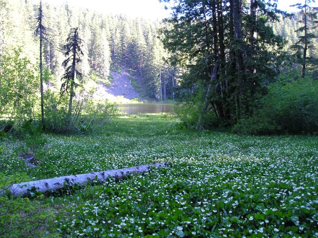 6.24-25.06 Memaloose Lake 124 